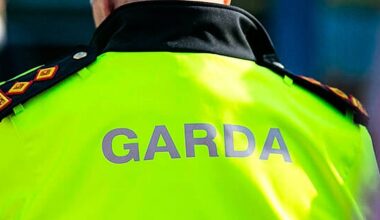 Gardaí seeking public help following theft in Williamstown