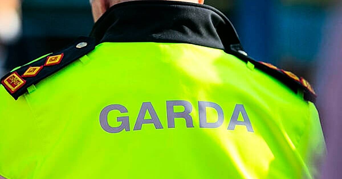 Gardaí seeking public help following theft in Williamstown