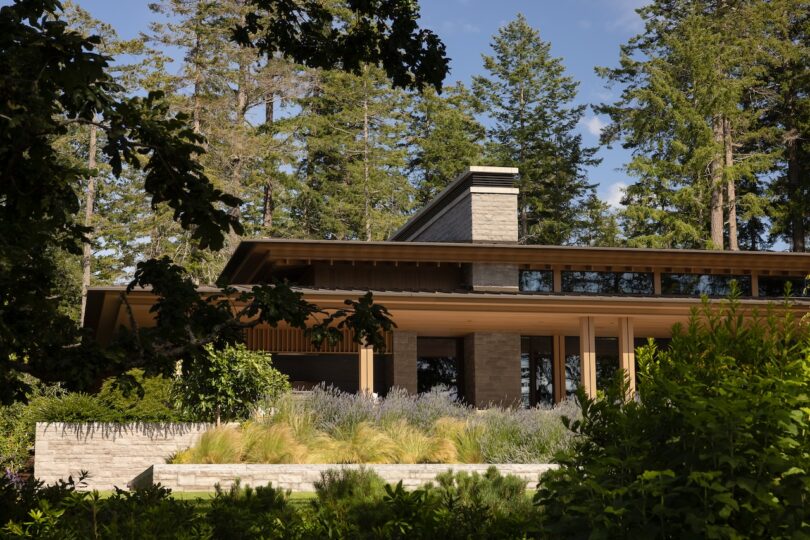 Modern house with large windows, stone and wood exterior, set among tall trees and lush greenery under a clear sky.