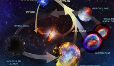 The four paths forward for US scientists in 2026