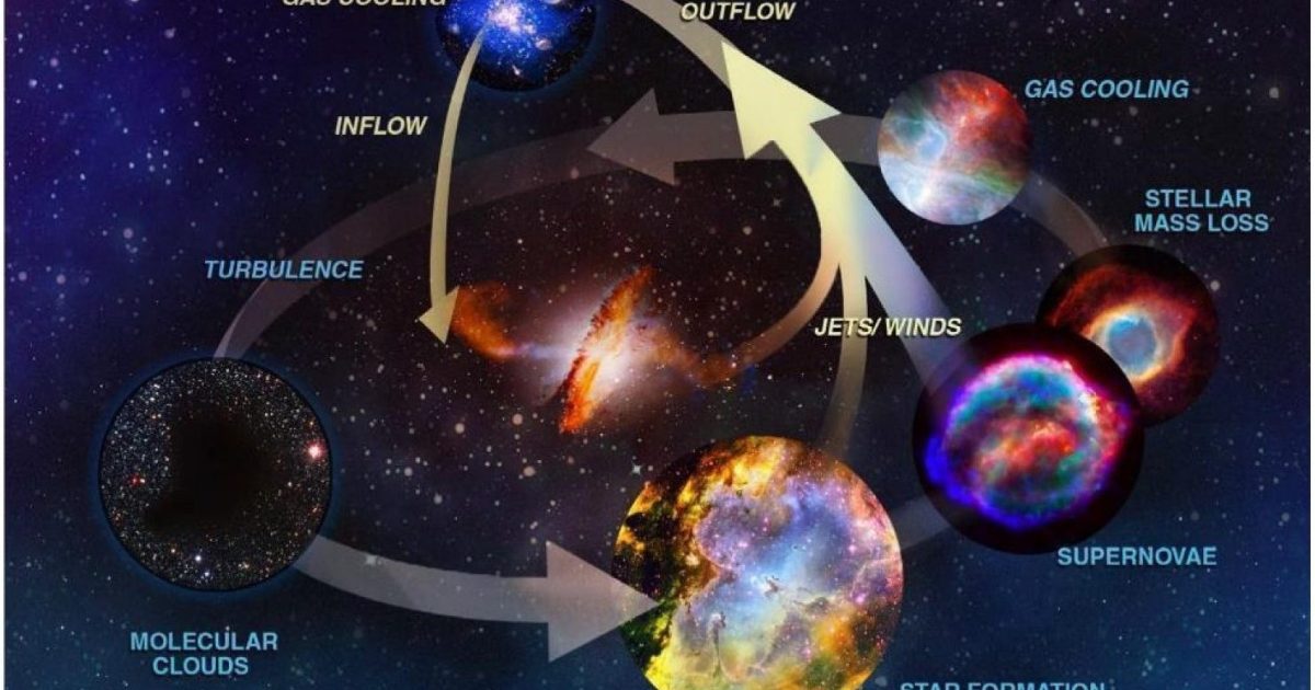 The four paths forward for US scientists in 2026