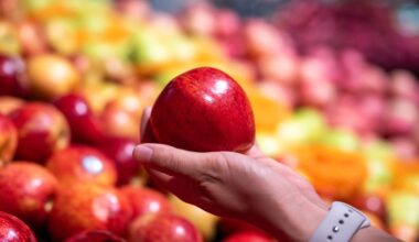 Are Apples Actually Good for You? Dietitians Weigh In