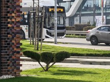 Daylight, telephoto cameras: Honor Magic8 Pro (7.4x) - 170mm, f/2.6, ISO 64, 1/100s (4080x3072px) - Honor Magic8 Pro vs. Oppo Find X9 Pro vs. vivo X300 Pro