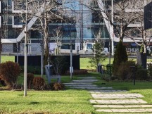 Daylight, telephoto cameras: Oppo Find X9 Pro (6x) - 140mm, f/2.1, ISO 80, 1/100s (4096x3072px) - Honor Magic8 Pro vs. Oppo Find X9 Pro vs. vivo X300 Pro