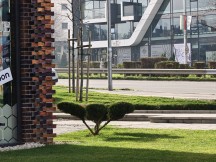 Daylight, telephoto cameras: Oppo Find X9 Pro (6x) - 140mm, f/2.1, ISO 125, 1/136s (4096x3072px) - Honor Magic8 Pro vs. Oppo Find X9 Pro vs. vivo X300 Pro