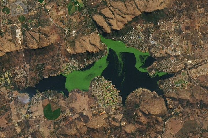 Algae Swirls Across a South African Reservoir