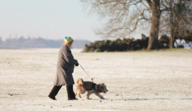 Frost, snow and freezing conditions expected across the country this weekend - The Journal