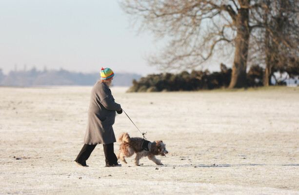 Frost, snow and freezing conditions expected across the country this weekend - The Journal