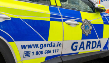 Gardaí investigating after 8 cars set on fire in Co Meath - The Journal