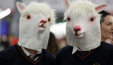 Here's What Happened Today: Wednesday · TheJournal.ie