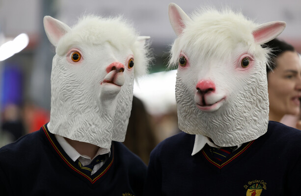 Here's What Happened Today: Wednesday · TheJournal.ie