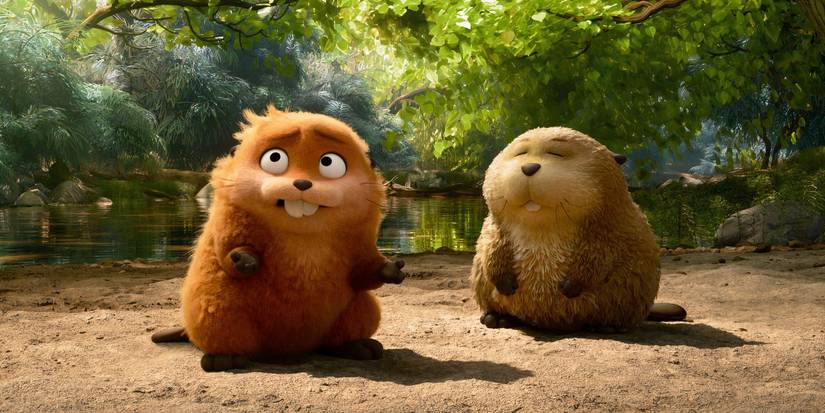 A pair of beavers sitting in the woods in Hoppers