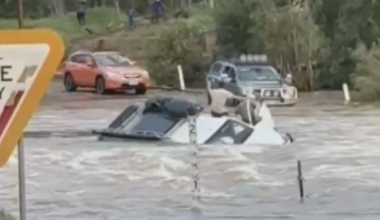 More than 16,000 livestock lost as flood levels keep rising in northern Queensland
