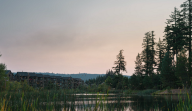 100 MP, Medium Format, No Video: Three Months With the Hasselblad 907X & CFV 100C