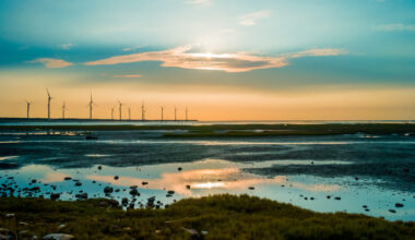 The secret costs of net zero