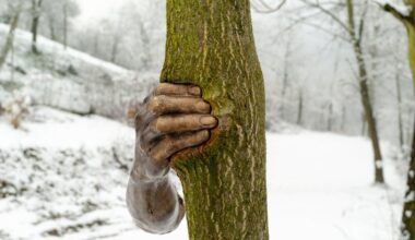 It Will Continue to Grow Except at That Point