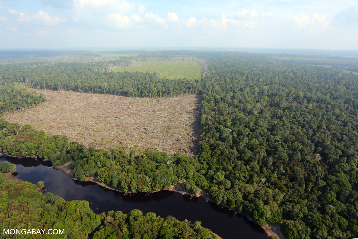 Indonesia says 4 million hectares of plantation, mining lands reclaimed in crackdown