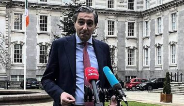 Ireland to Vote Against EU-Mercosur Trade Deal, Tánaiste Says