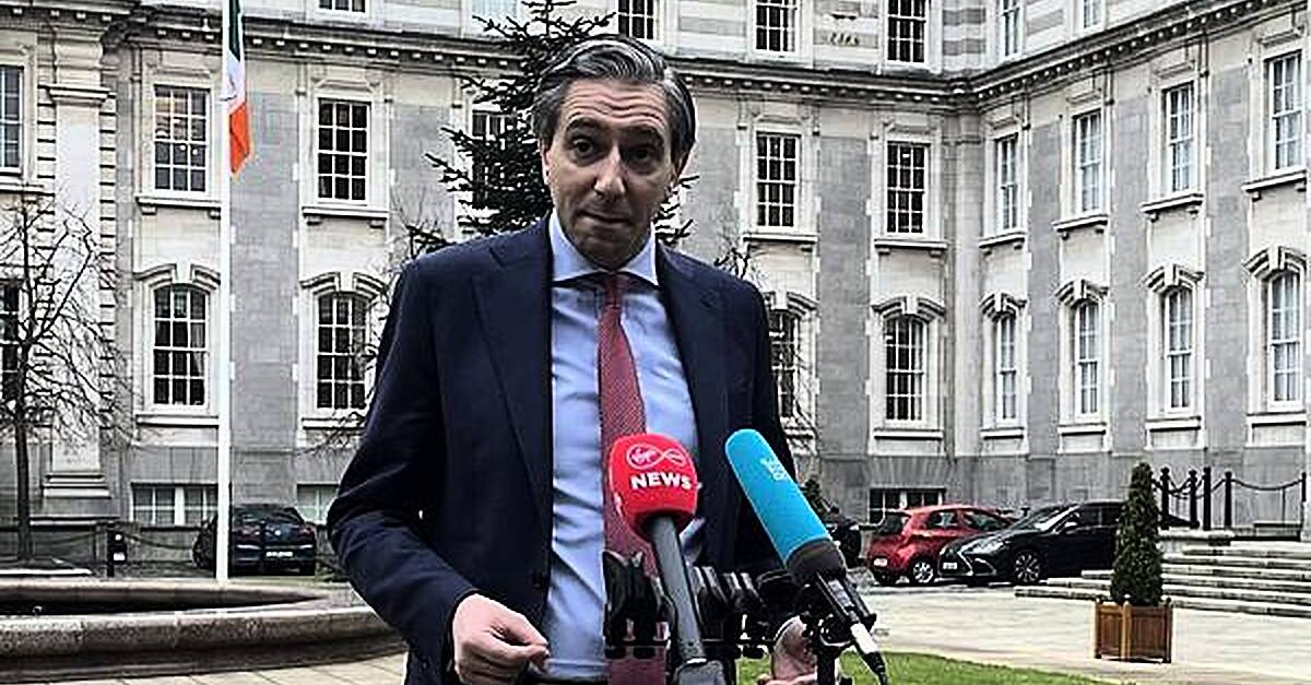 Ireland to Vote Against EU-Mercosur Trade Deal, Tánaiste Says