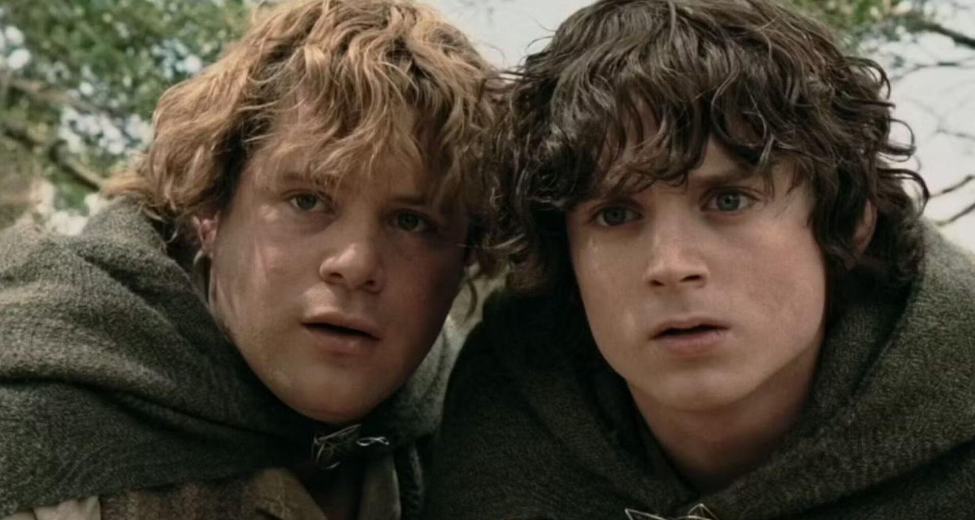Sean Astin and Elijah Wood in The Lord of the Rings
