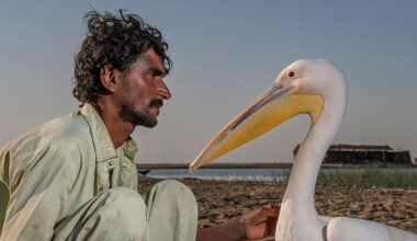 Rare image of vanishing century-old technique celebrated in photography contest – captured with an 8-year-old DSLR
