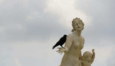 A Poetry Collection to Resurrect Ireland’s Restless Girls