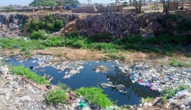Community Seeks River Dredging, Relocation