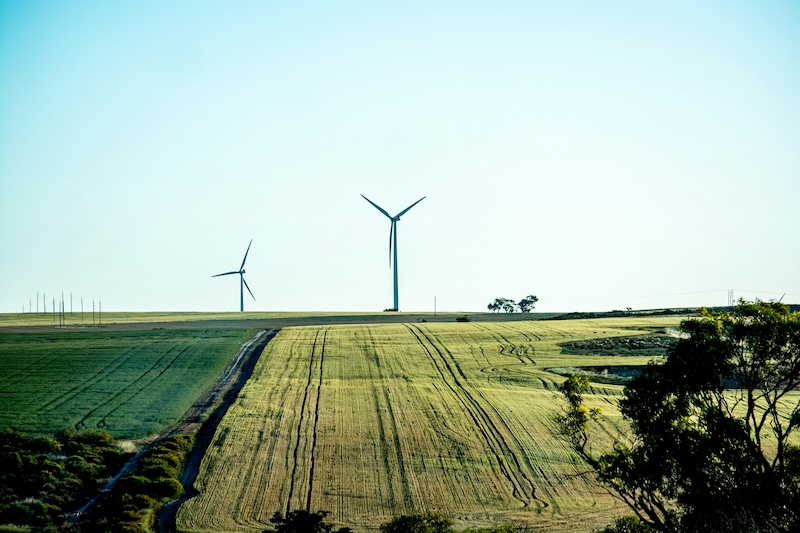 WA led the way. Tenindewa Western Australia. Image Kshithij Chandrashekar, Unsplash
