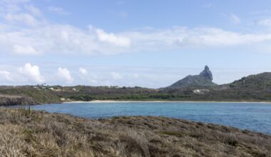 Research has found that lemon sharks, a large shark species, seek out invasive freshwater fish to prey on.