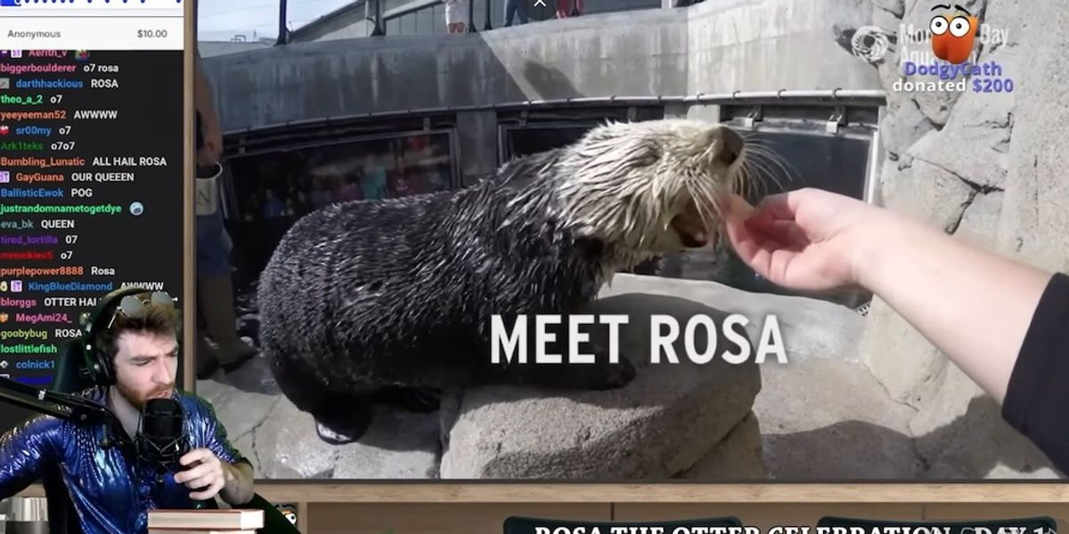 Theme park apps | lessons from video game design