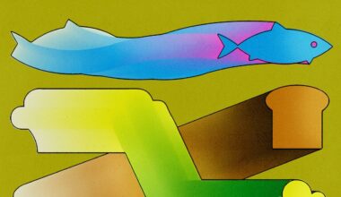 What's the Best Diet for Longevity?