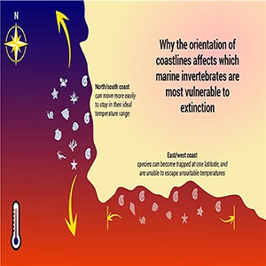 Infographic describing the study’s findings. Credit: Getty Images, Public Affairs Directorate, University of Oxford