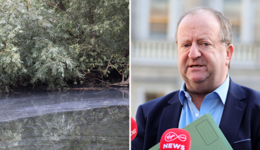 EPA 'standing idly by' as sewage leaks into Cork rivers - Michael Collins