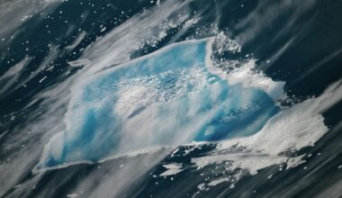 Astronaut Photographs Iceberg From Space Just 'Days or Weeks' Before it Disintegrates