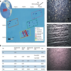 Impact of deep-sea mining on ocean species biodiversity and ecosystems. Overview of study region, sampling design and example seafloor morphology. Credit: Nature