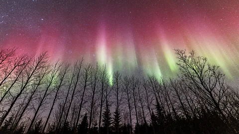 Wil Photography Scientists believe 2026 will be a prime year for aurora chasing (Credit: Wil Photography)