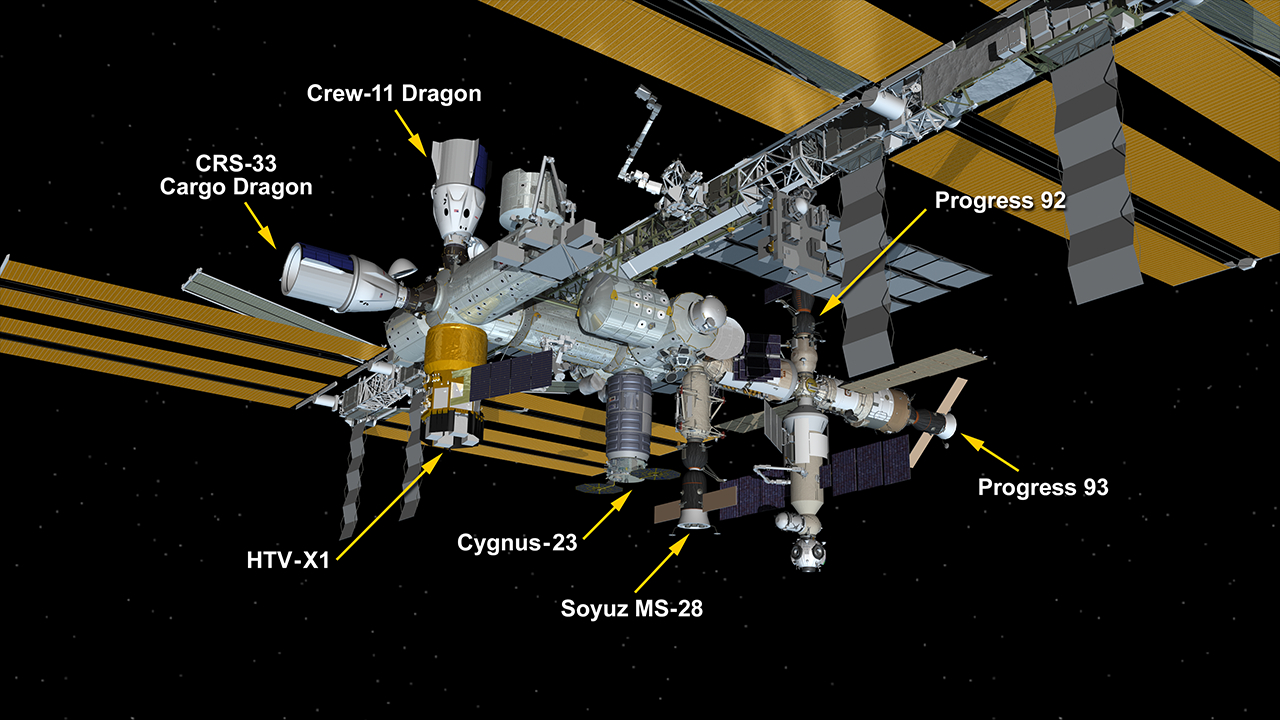 An illustration of the ISS with docked ships labeled.