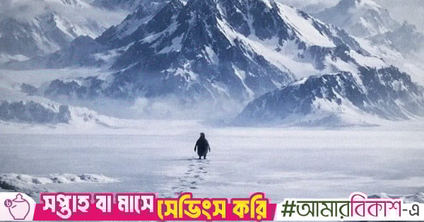 The penguin walked away. Why though?