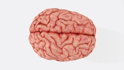 Taking supplements alongside maintaining a healthy lifestyle can do wonders when it comes to the brain. (Unsplash)