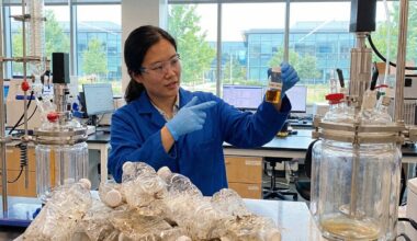 Plastic Was Thought Unrecyclable This Korean Biocatalyst Destroys It In Less Than 48 Hours Even When Dirty