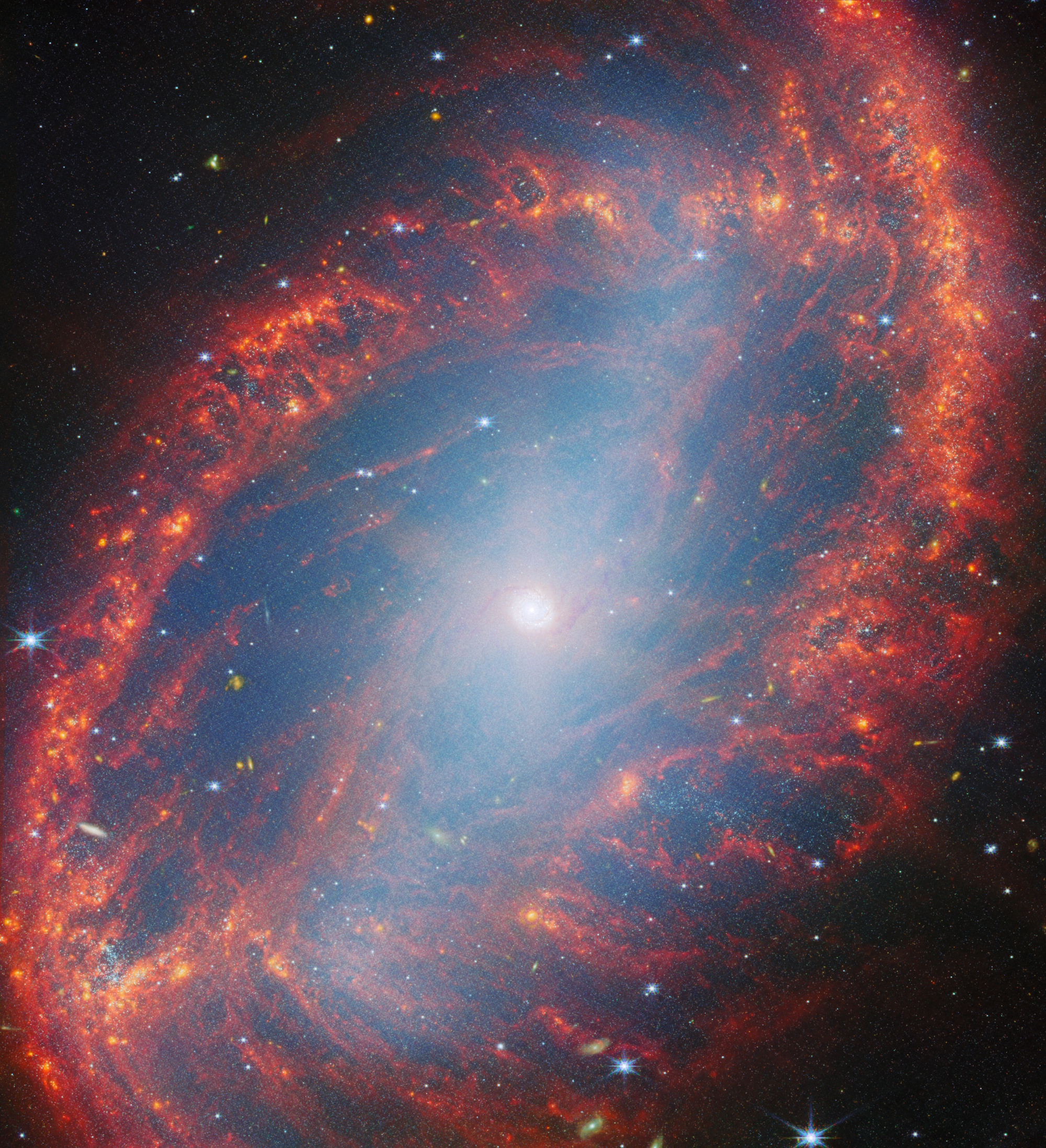 A spiral galaxy with a bright central core and reddish-orange dust lanes forming a ring structure, surrounded by stars against dark space—a stunning scene that the JWST reveal brings vividly to our universe.