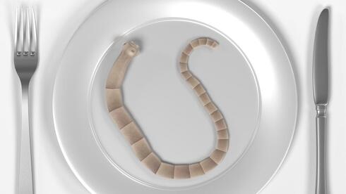 five of the most dangerous diets in the world