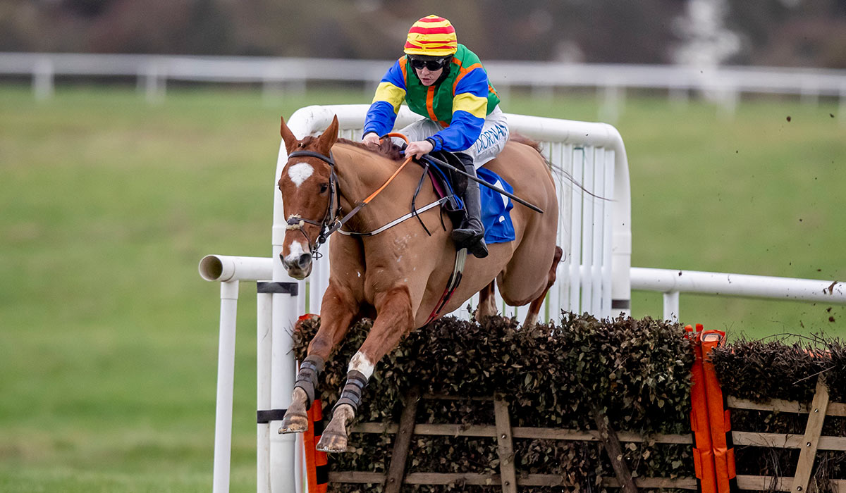 Rachael Blackmore onboard Clifton Warrior at Thurles Racecourse in 2021. Pic: INPHO/Morgan Treacy