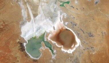 Lake Eyre Blushes - NASA Science