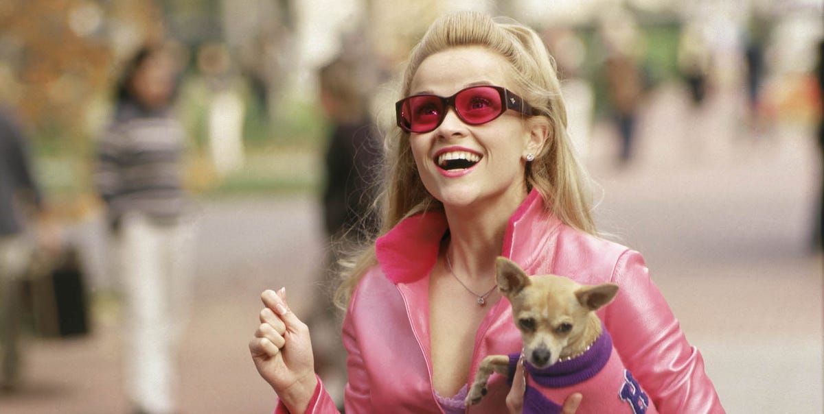Legally Blonde series that 'will resonate with the original's fans' gets release date and first look