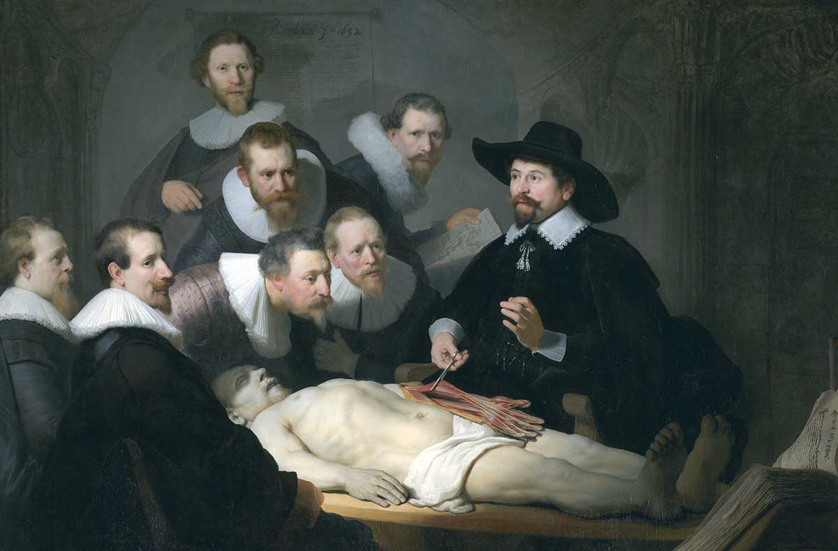 rembrandt anatomy lesson painting