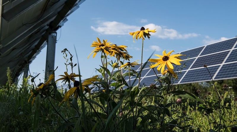 renewable energy solar NREL