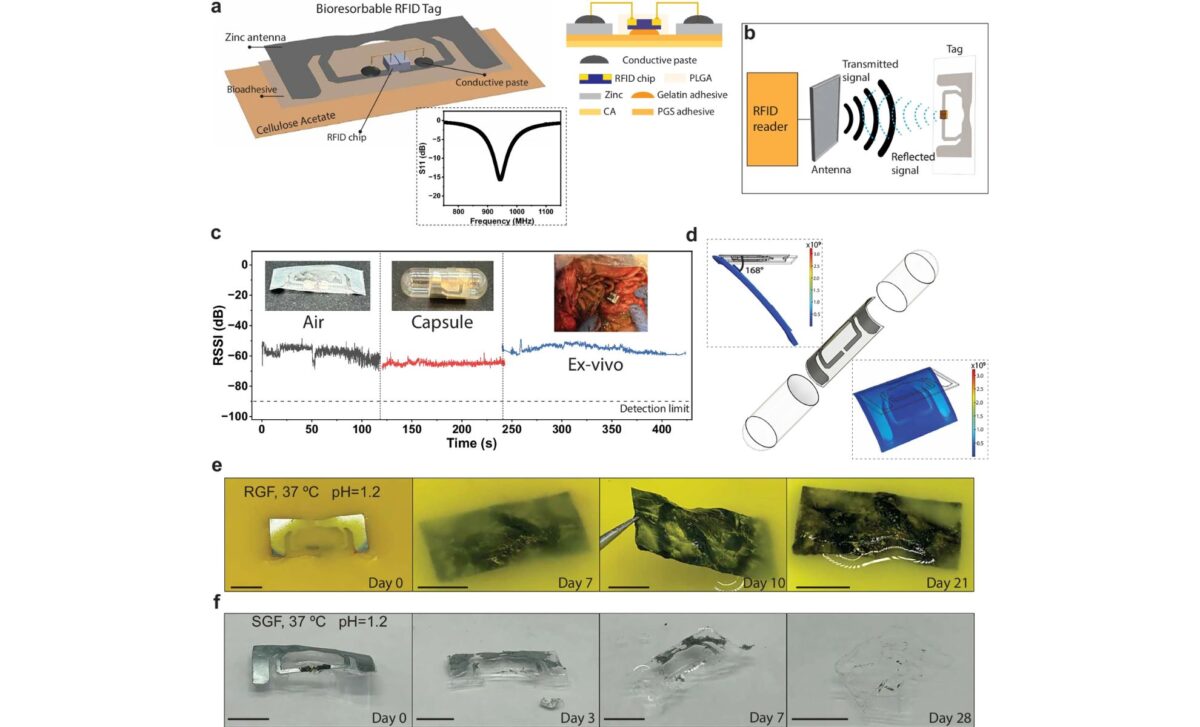 Rfid Capsule Design, Signal Tests In Air And Stomach, And Dissolution In Gastric Fluid (ph 1.2, 37 °c). ©nature