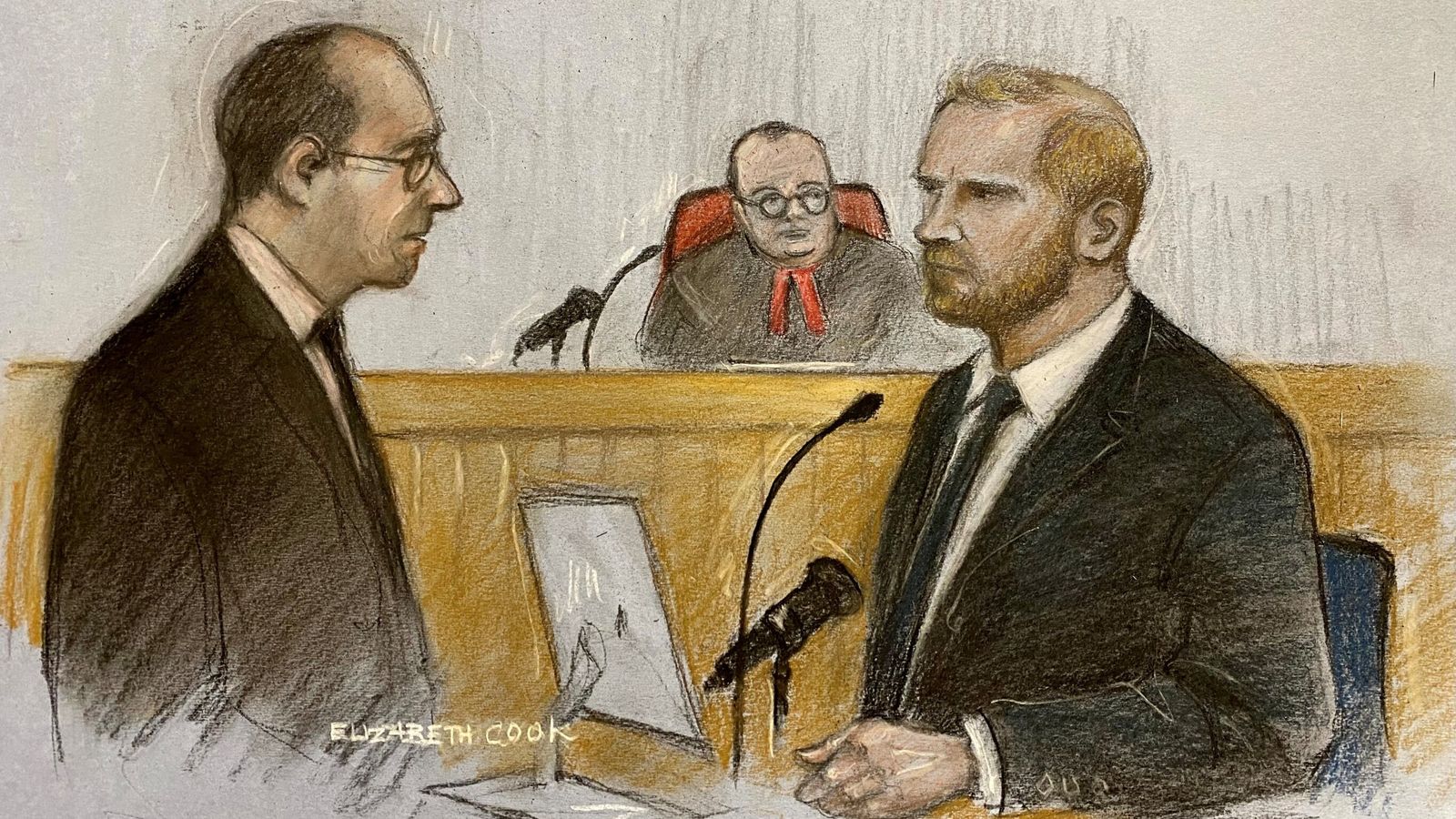 Harry and ANL lawyer Anthony White. Sketch: Elizabeth Cook/ PA
