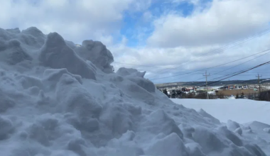 Capital City Explains Decision to Go Ahead with Garbage Collection Monday